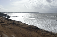 Camino de la Reyerta - Punta de Montijo